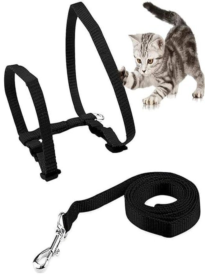 Pups&Pets طقم حزام صدر من النايلون من Pups&Pets مع طوق مطبوع وسلسلة وخطاف قابل للتعديل للقطط والقطط الصغيرة للمشي والتدريب في الهواء الطلق (قد يختلف اللون، عبوة من قطعة واحدة) - Image 2